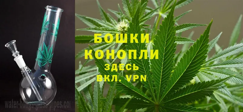 Конопля LSD WEED  кракен как войти  Буй  купить наркотик 